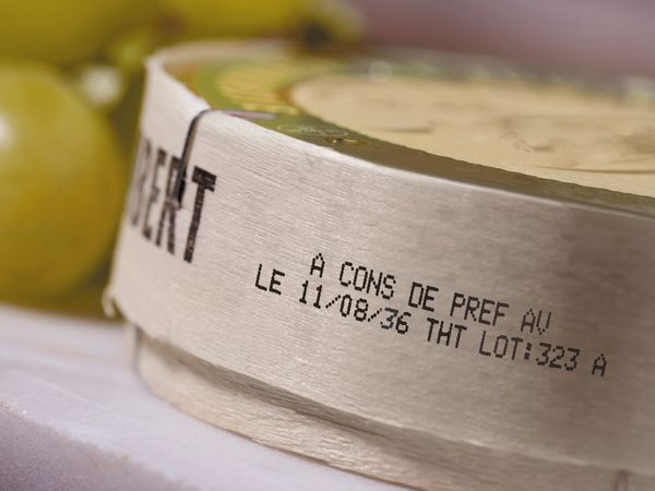 CIJ black ink on wood camembert