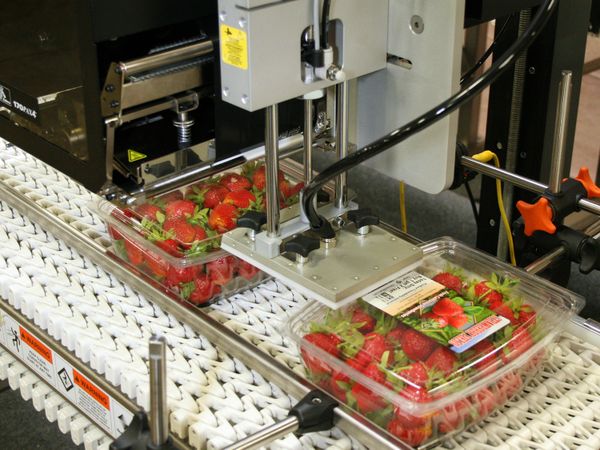 Etikett auf Plastikverpackung Lebensmittel