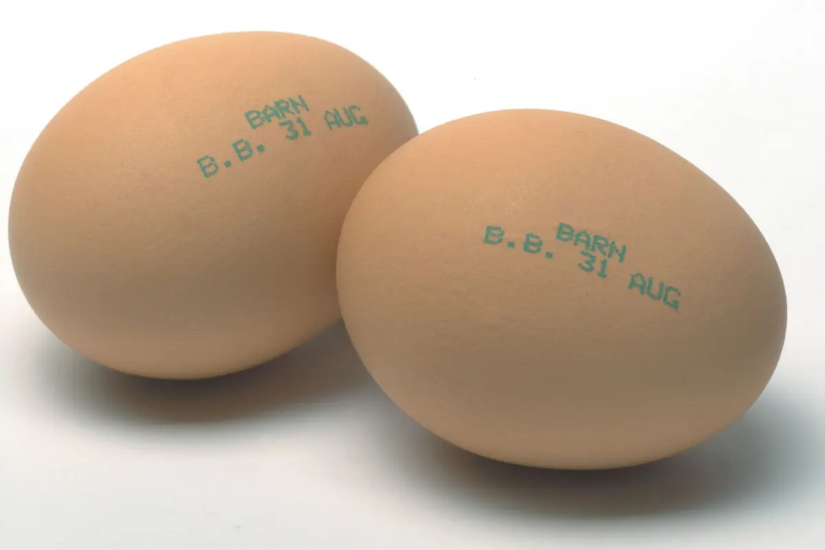 Inkjet printing on eggshell
