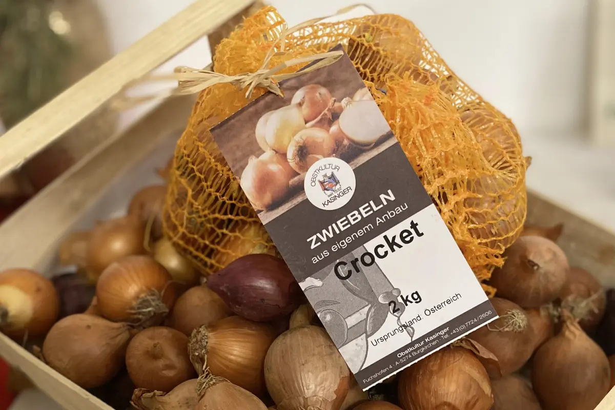 DFTA Award 2022 (c) PRODESIGN